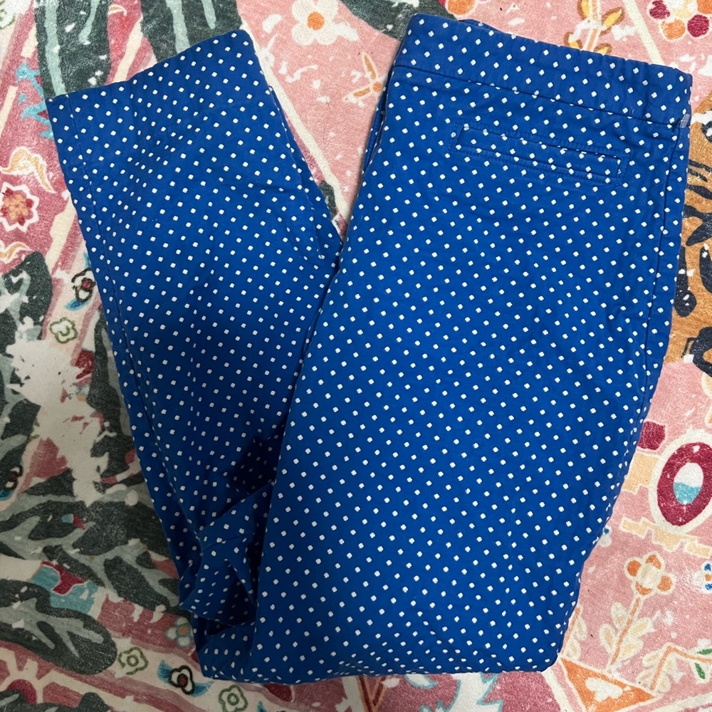 Talbots Blue and White Patterned Pants